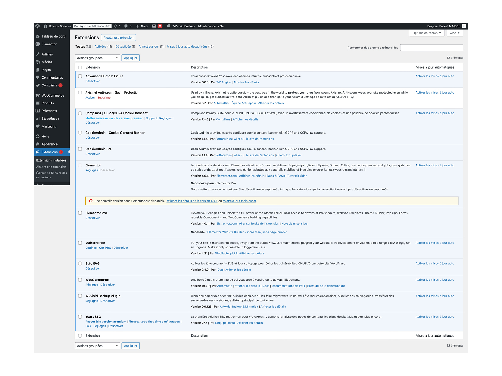 Extensions WordPress
